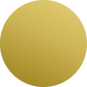 Prateado / Dourado / Preto