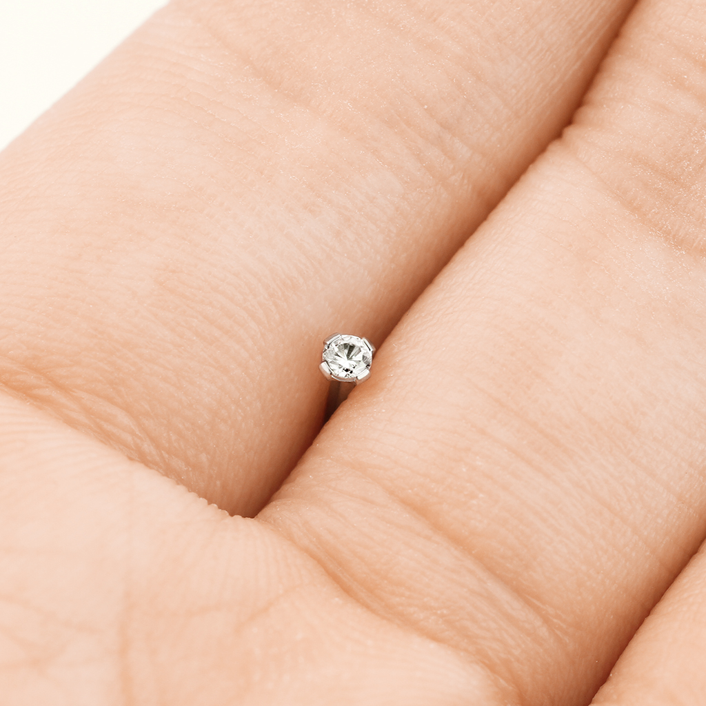 Nariz piercing de cauda de peixe de titânio com pedra